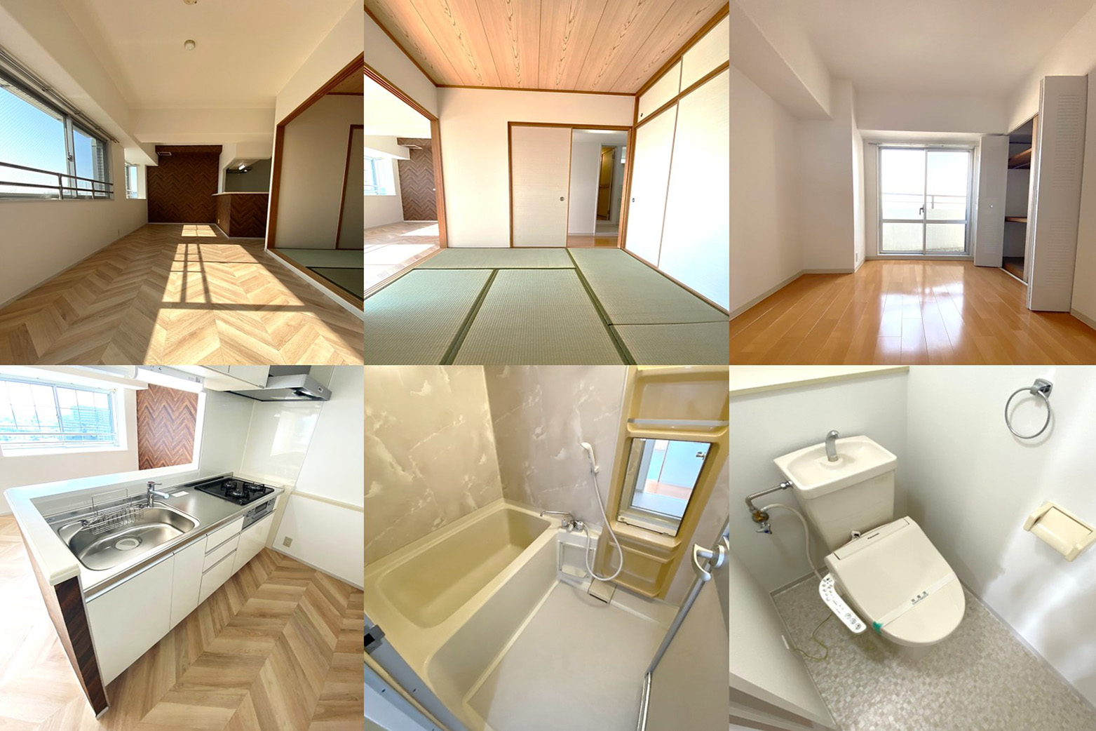 I Cube 平野
